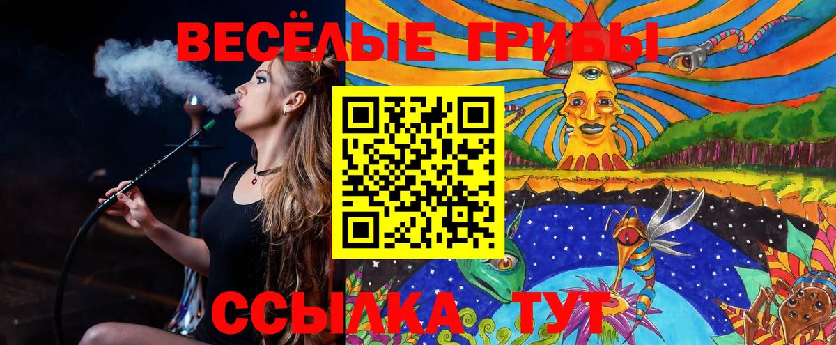 Галлюциногенные грибы мицелий  Вход с VPN  Тара 