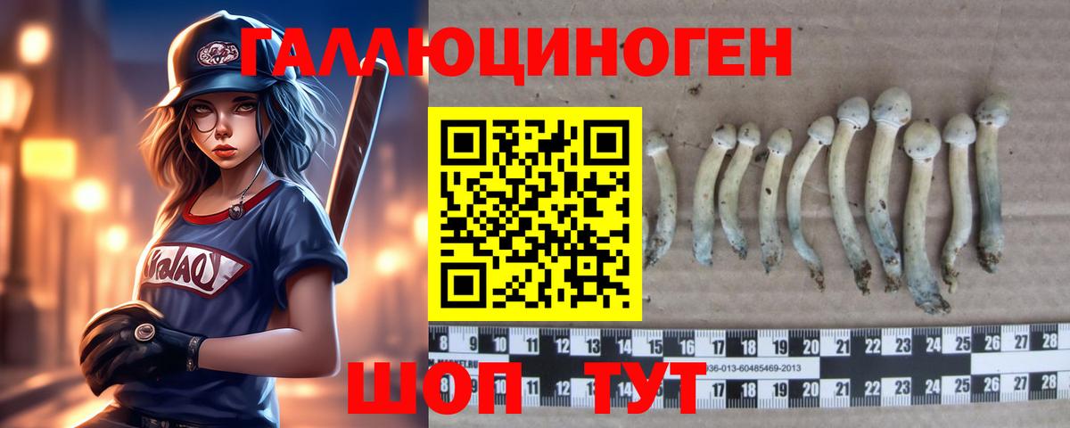 Галлюциногенные грибы мицелий Тара